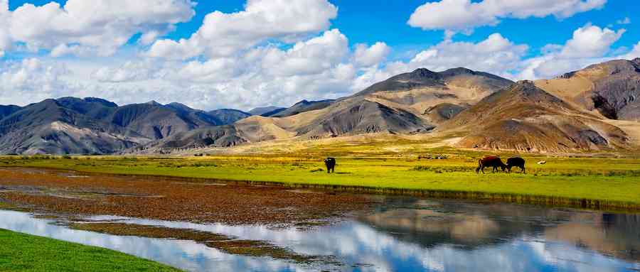 西藏湖泊哪些美？推荐你受众人敬仰的玛旁雍错