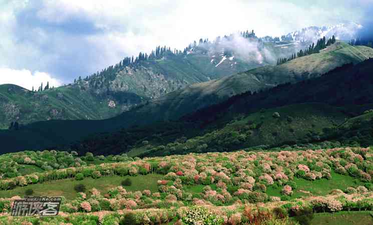 五一去新疆旅游，推荐伊犁去看花