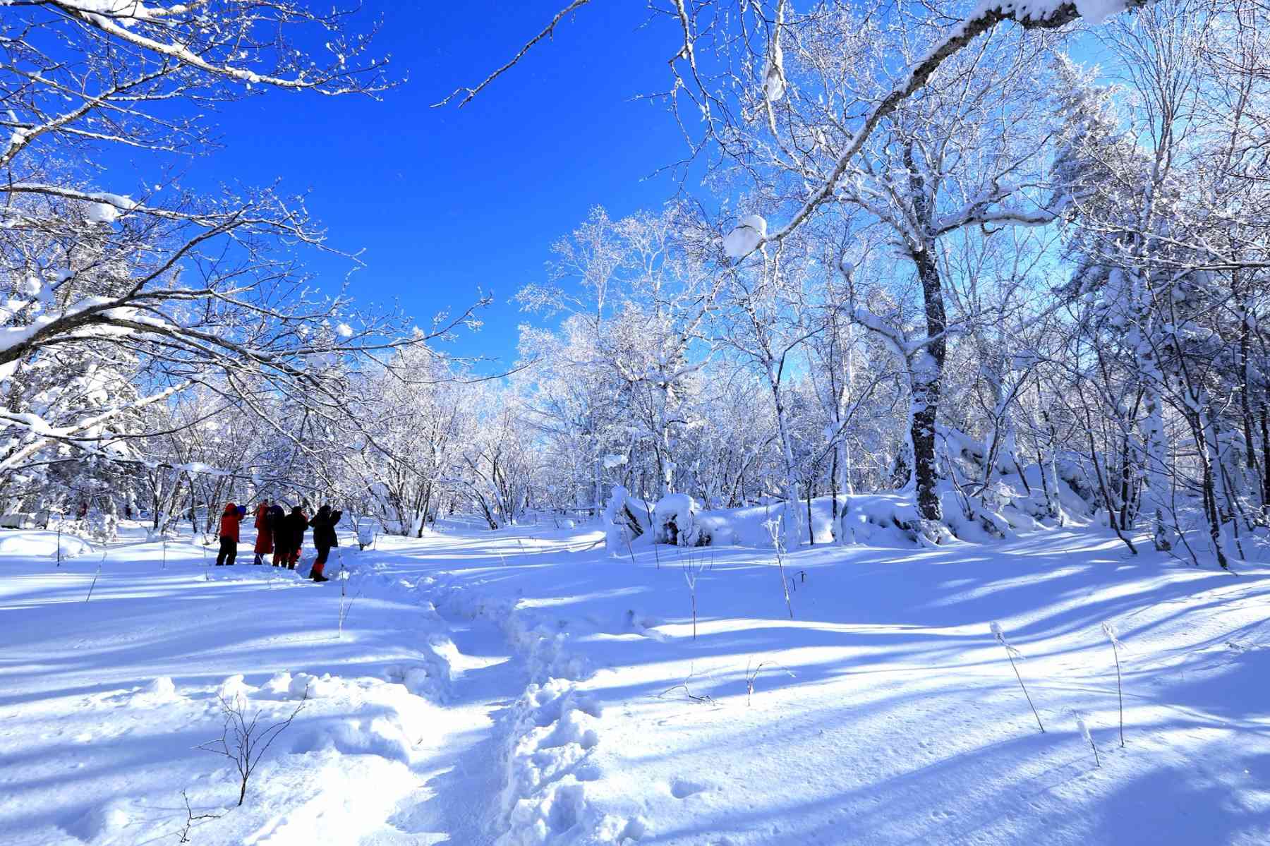 东北雪乡旅游怎么样