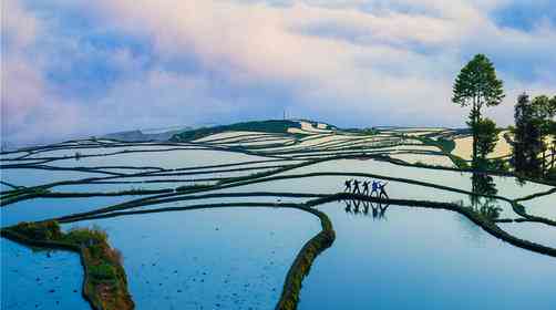 云南元阳旅游，元阳梯田哈尼梯田游玩攻略