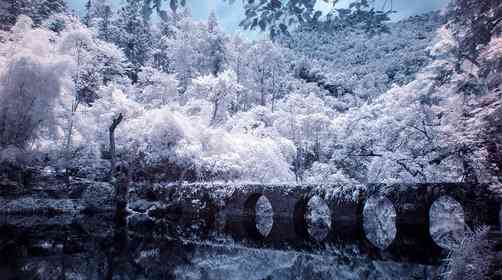 冬天去贵州旅游门票五折还有各种福利优惠！贵州旅游景点推荐