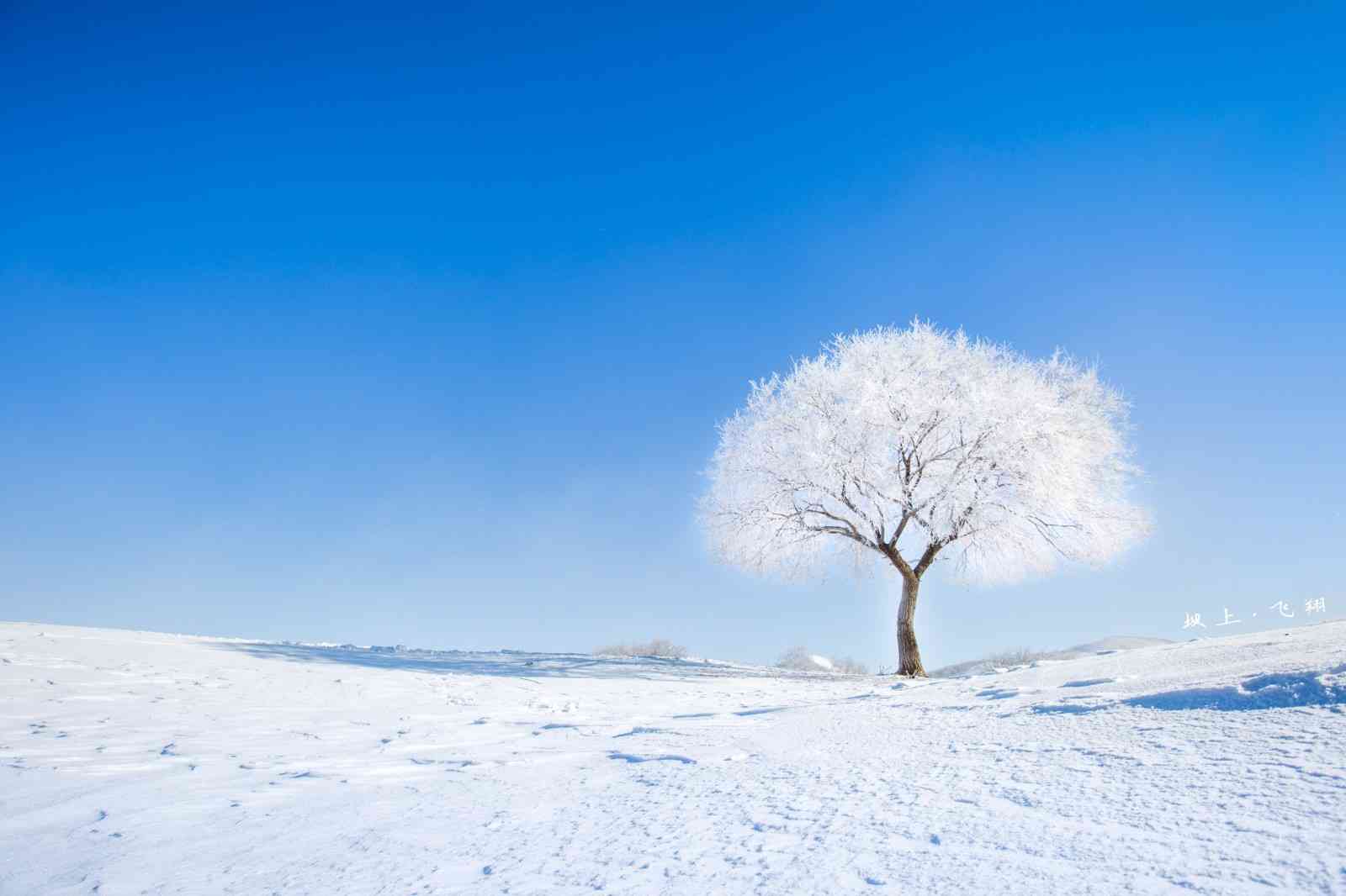冬季乌兰布统景色