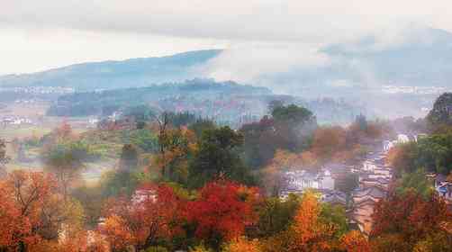 塔川最佳旅游时间是什么时候，塔川秋色景点看点推荐