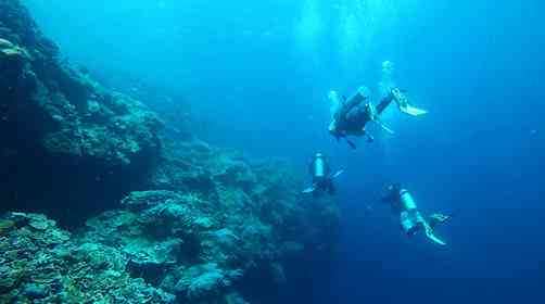 菲律宾薄荷岛之旅，让你体验最好的潜水教室