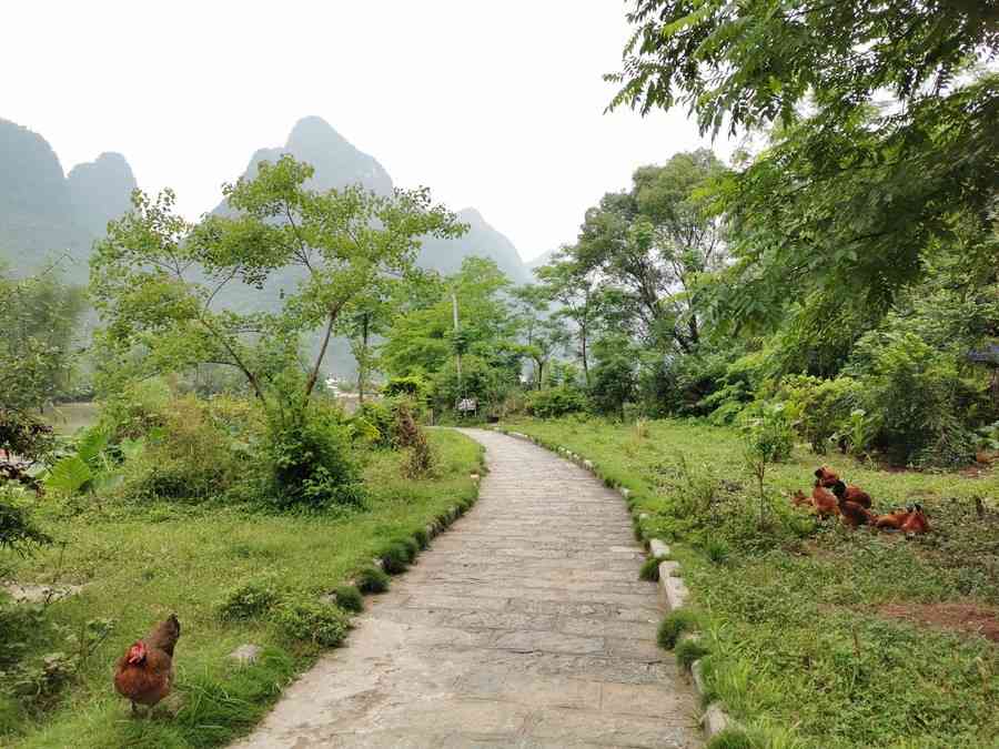 想了解阳朔西街附近的美食推荐， 阳朔西街美食攻略在这里