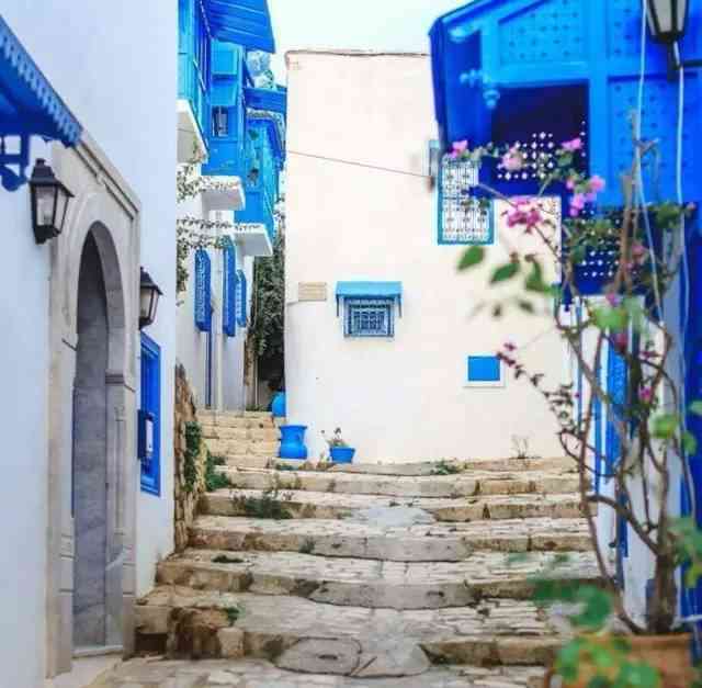 最新免签的突尼斯的极致旅游体验