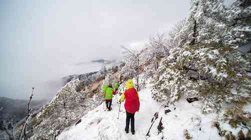 神农架风景区在哪里,神农架自驾游玩攻略