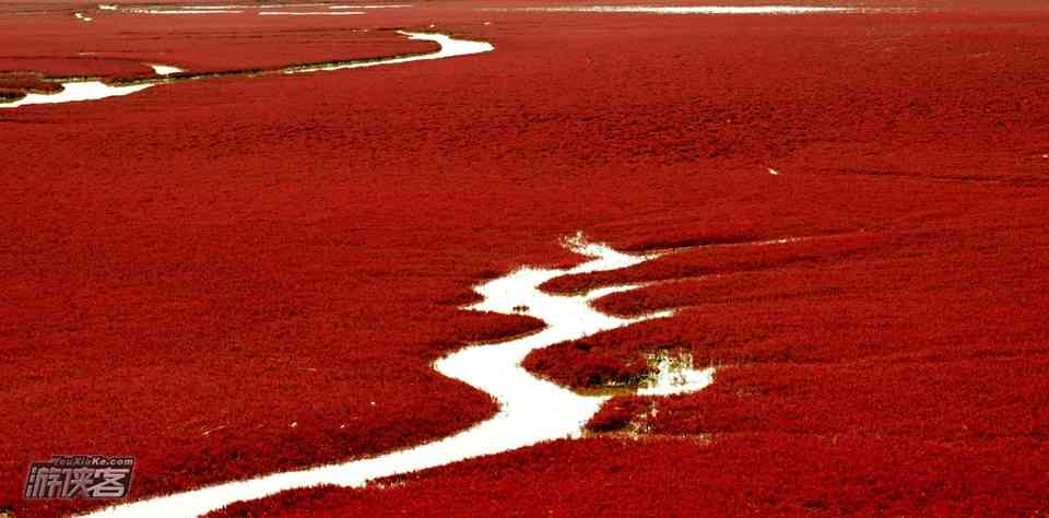 盘锦红海滩旅游几月份最好？盘锦红海滩形成原因是什么？