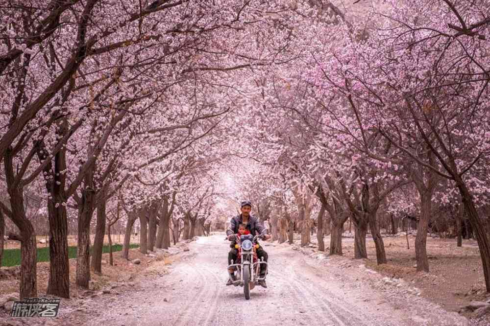 国内春季旅游绝佳目的地推荐之新疆