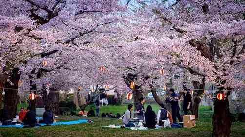 第一次去日本旅游，日本旅游出行攻略