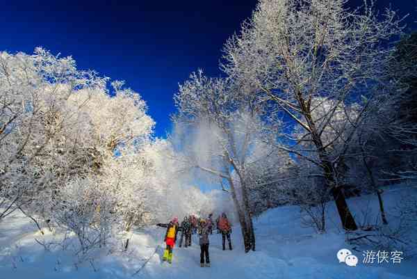 雪乡·雪谷·雪村·雪岭，东北雪景哪里最美？