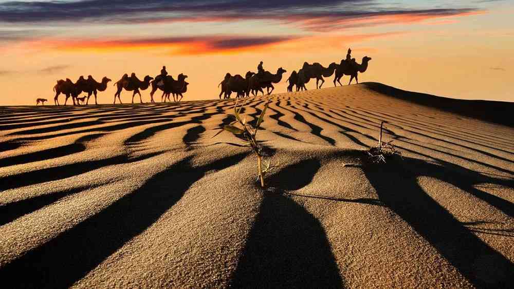 额济纳旗旅游攻略，巴丹吉林沙漠