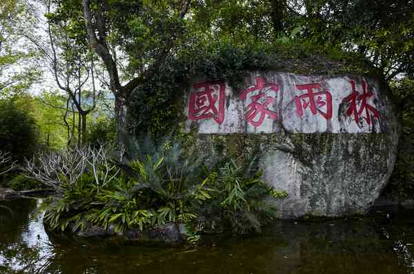 去五指山上穿越热带雨林