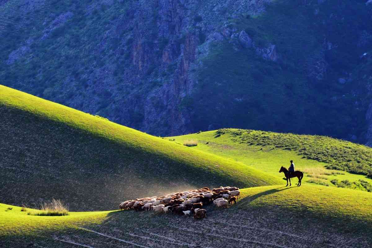 喀拉峻在新疆哪里？  喀拉峻美景有多少