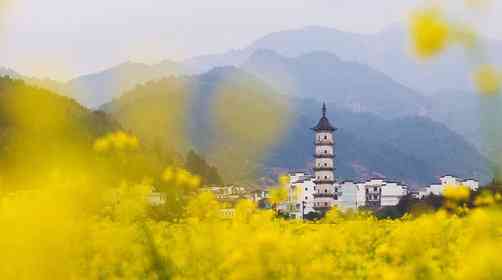 黄山所有A级景区向全国医护人员免费，具体免门票景点公布