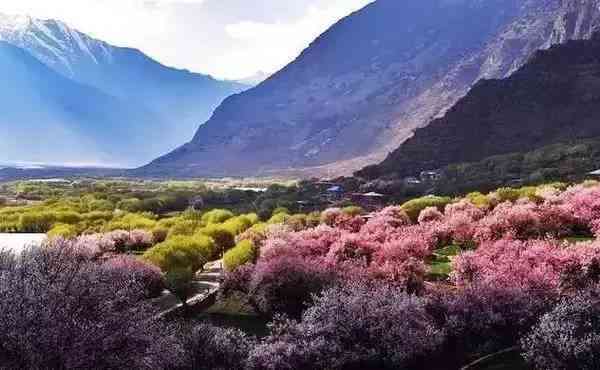 在成都旅游 踏春的最佳选择