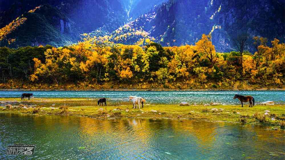 西藏然乌湖什么时候最美？然乌湖秋色美吗？