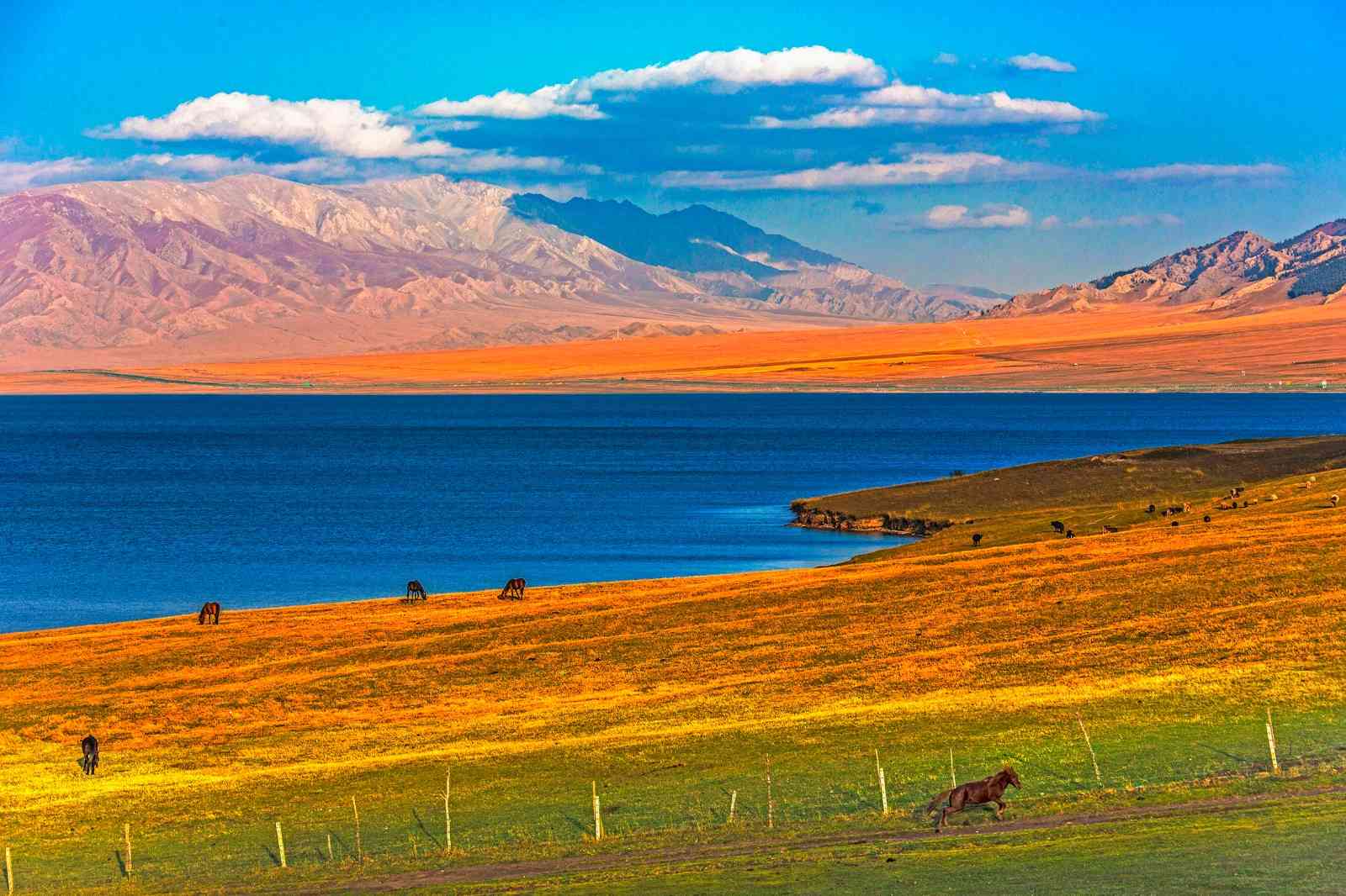 经典永流传！新疆北疆环游十日旅游攻略 - 知乎