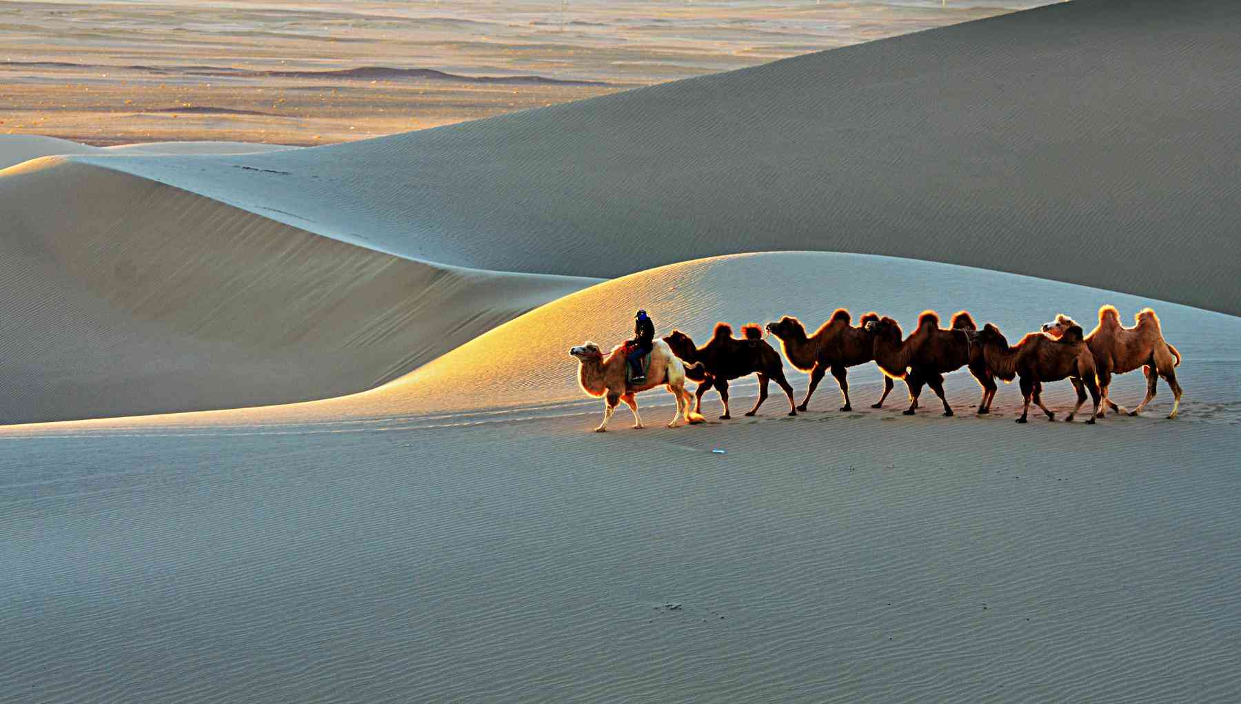 额济纳旗旅游攻略，巴丹吉林沙漠
