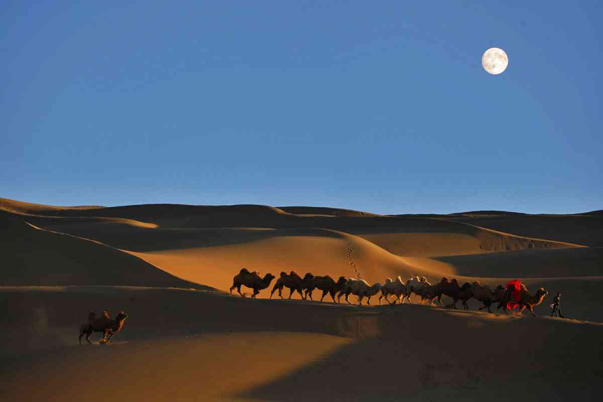 一路向西—— 大漠新疆，年少梦开始的地方