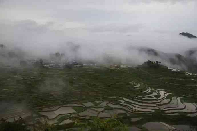 贵州十大梯田大盘点