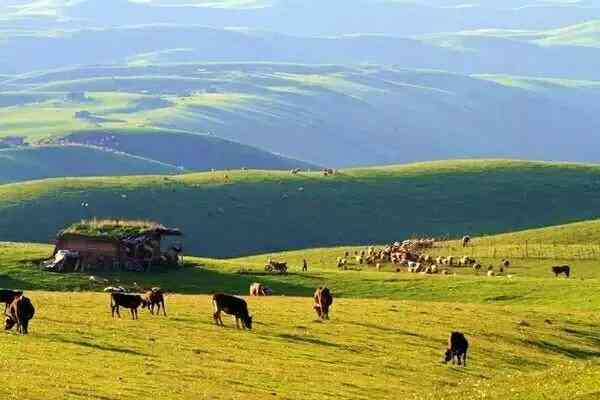 横贯新疆的天山，一年四季都有其无与伦比的美