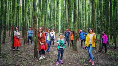 重庆山王坪需要门票吗？重庆山王坪旅游攻略