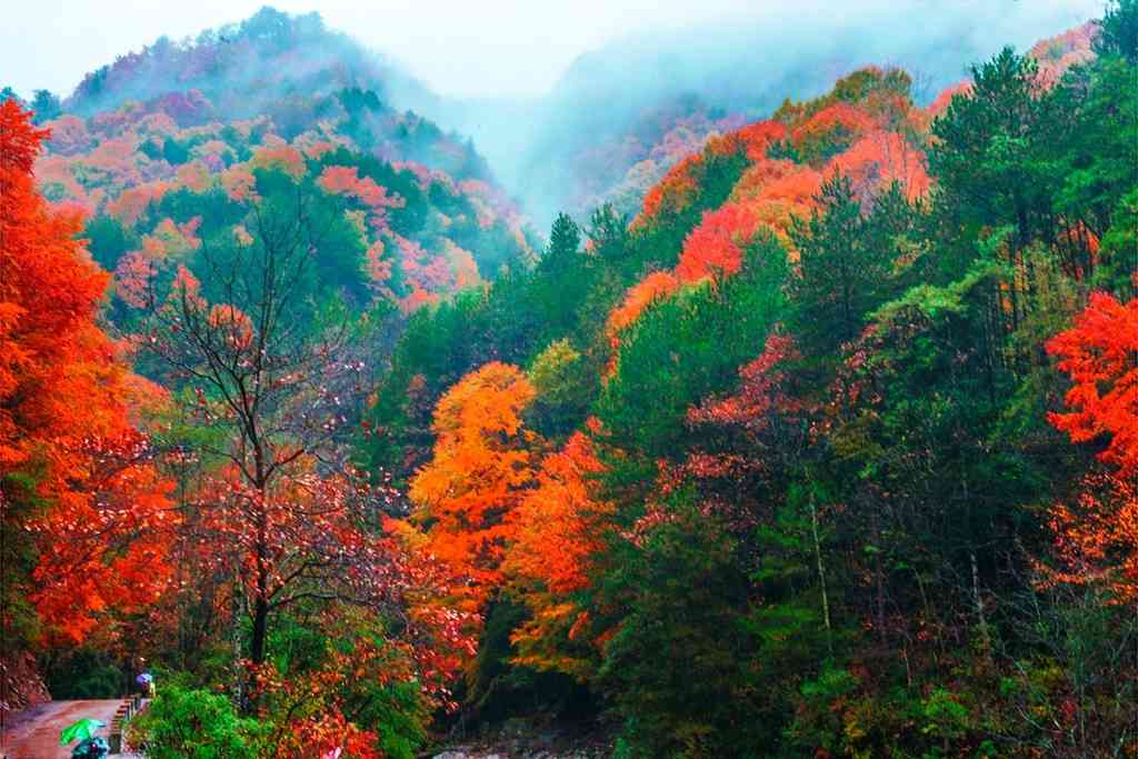 四川巴中光雾山有哪些景点