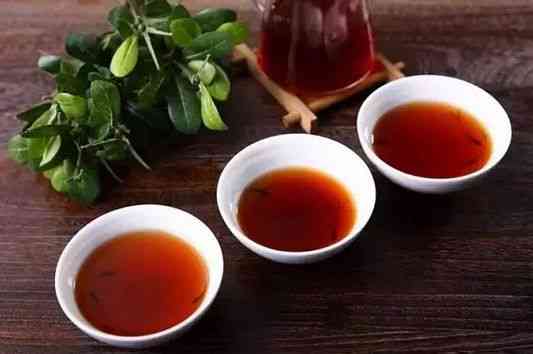 云南普洱茶—品茗指南