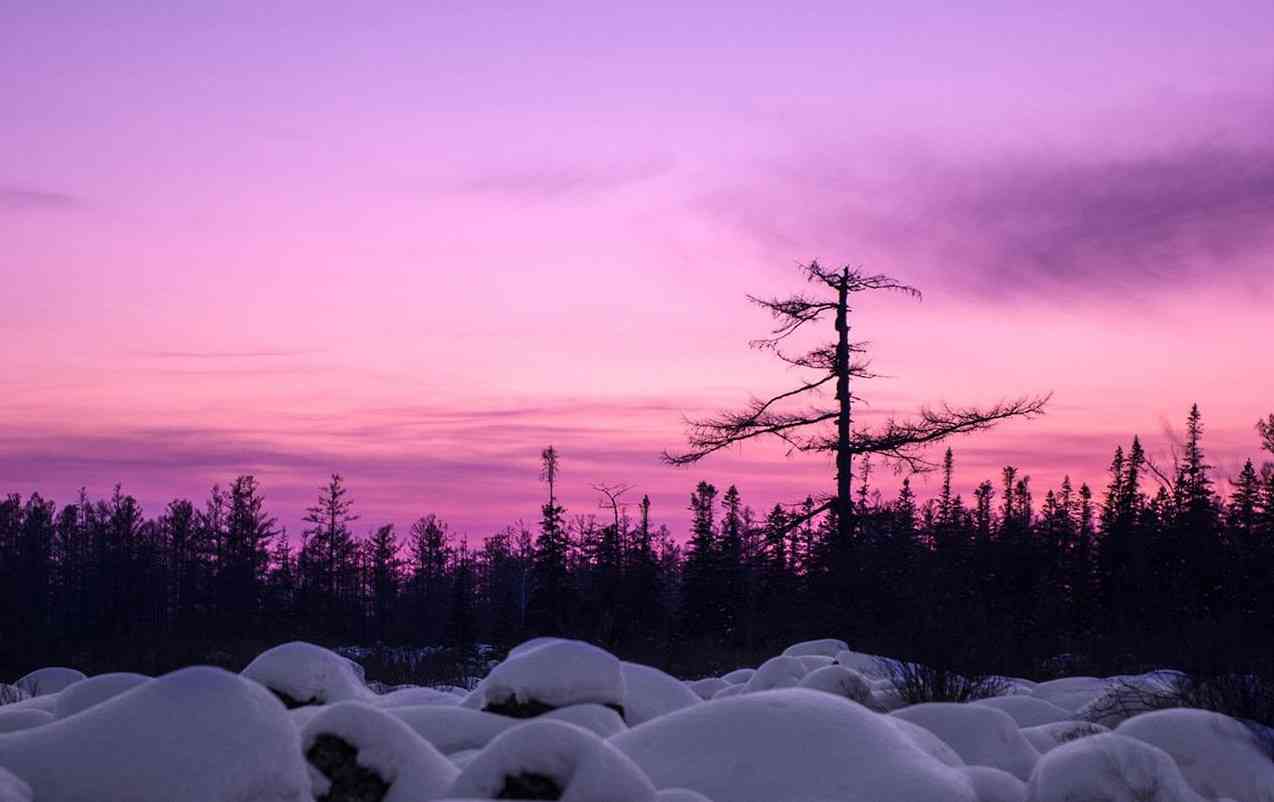 红星湿地雪原怎么样