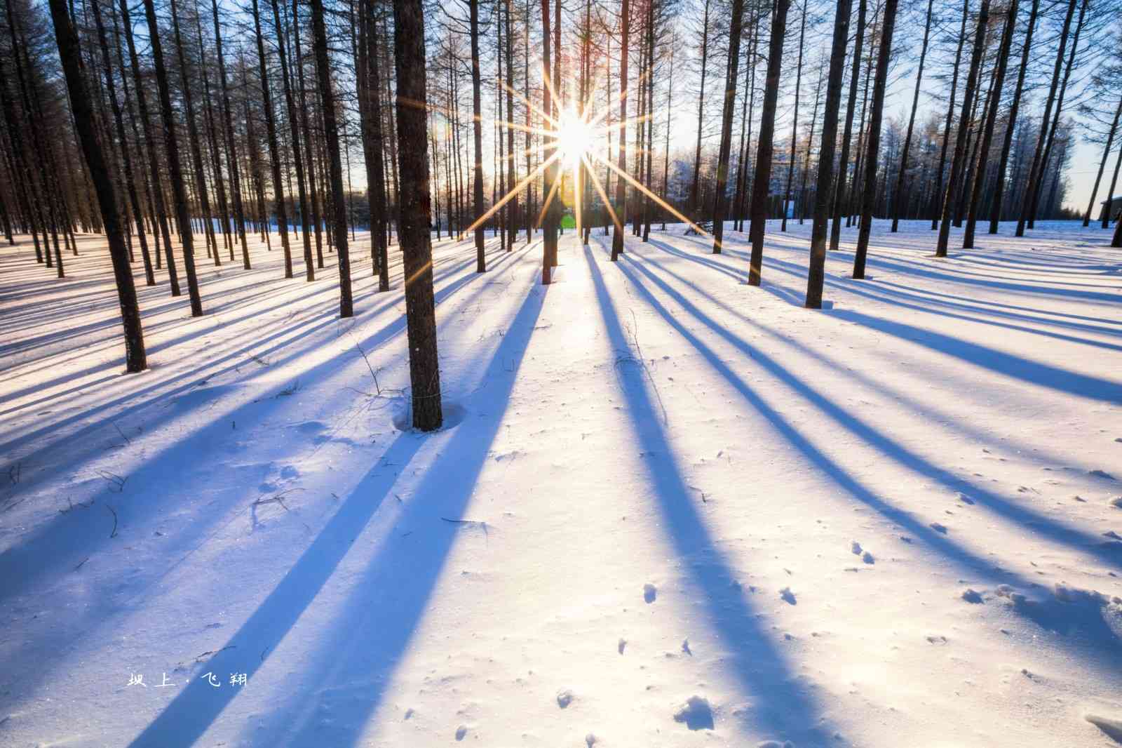冬季乌兰布统景色