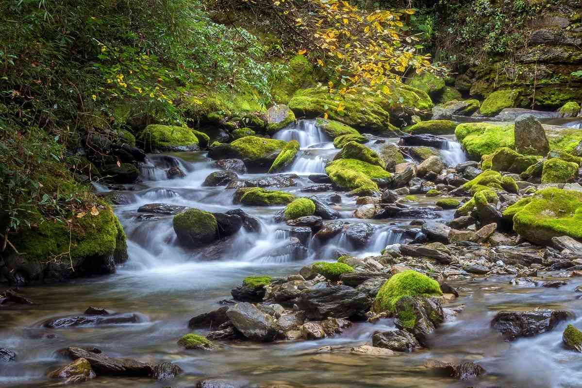 神农架旅游攻略，神农架风景有哪些