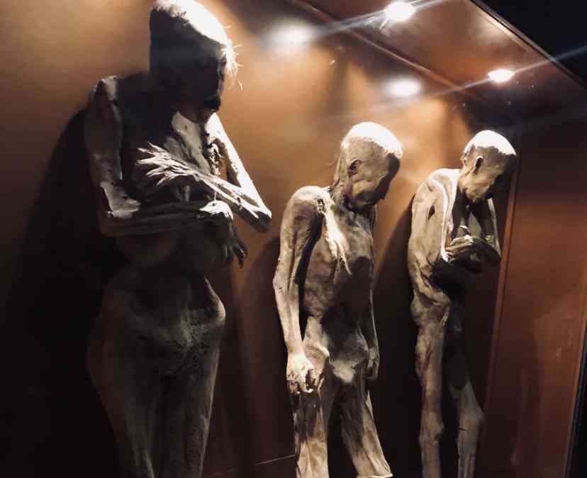 瓜纳华托旅游，不可错过的木乃伊博物馆