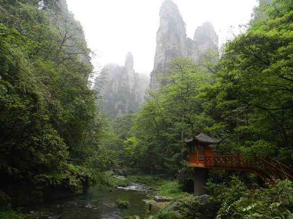 张家界国家森林公园2日游规划
