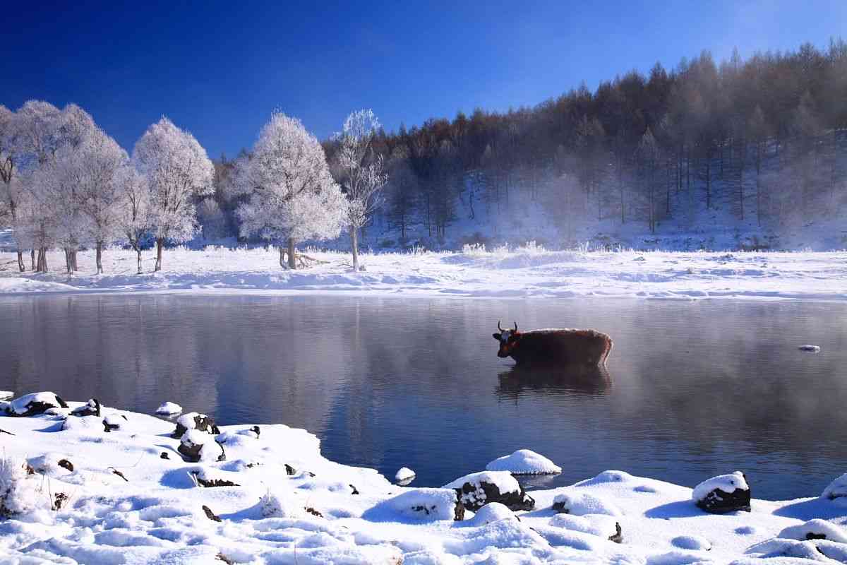 冬天去阿尔山旅游