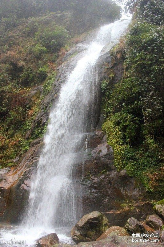 杨思慕景区