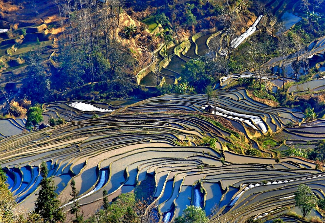 元阳梯田