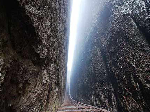 法雨悬河