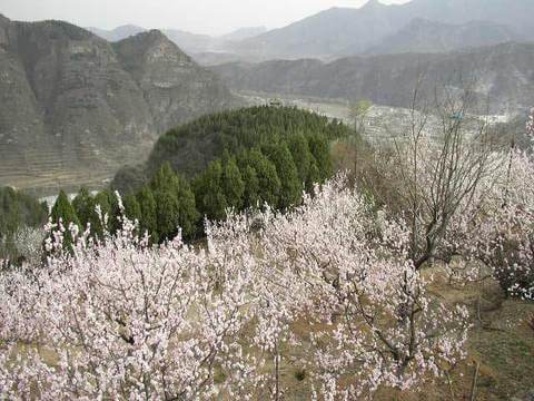 将军坨风景区