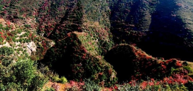 太极峡风景区