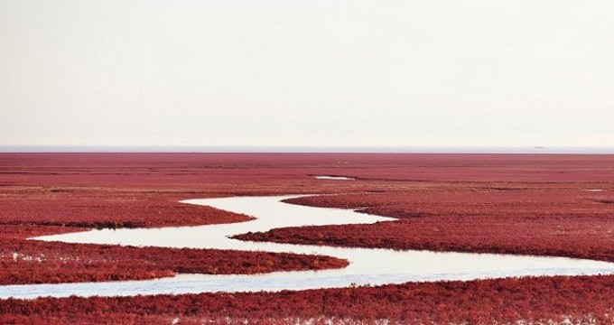 盘山县