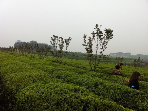 凤凰沟风景区