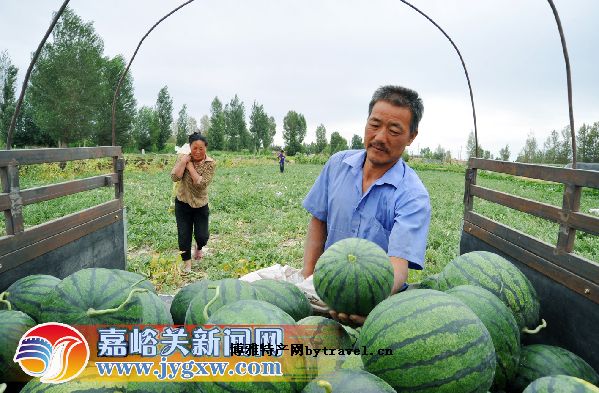 嘉峪关野麻湾西瓜