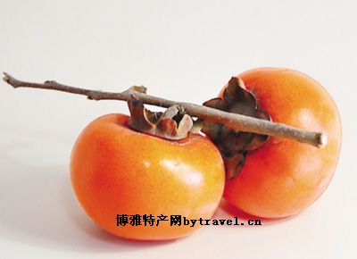 安溪油柿