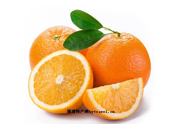 茶陵脐橙