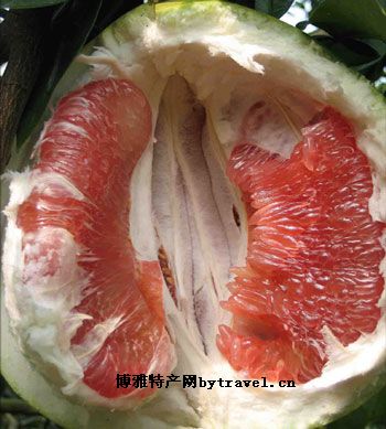 红心柚